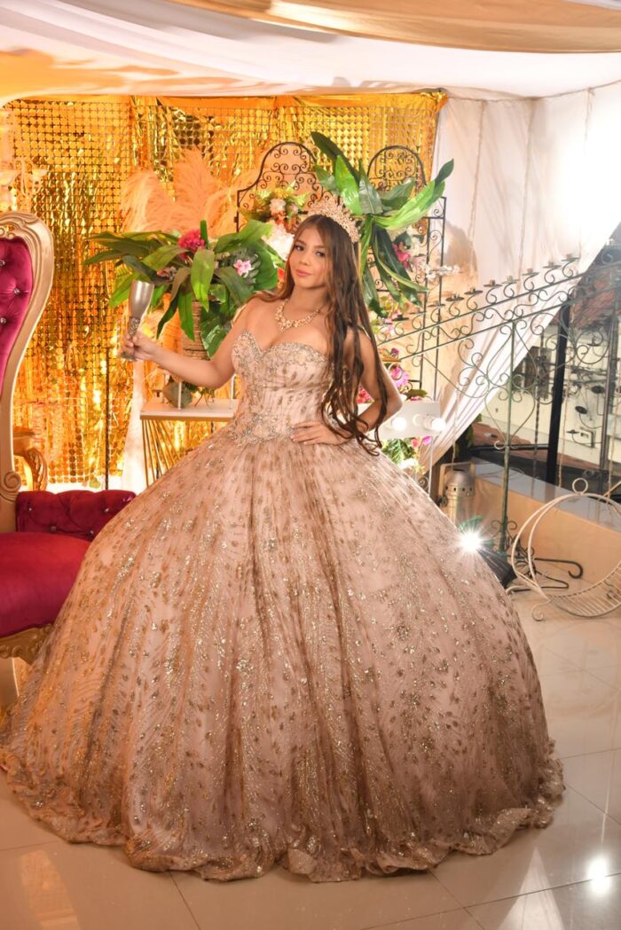 Vestido de Quinceañera Ref