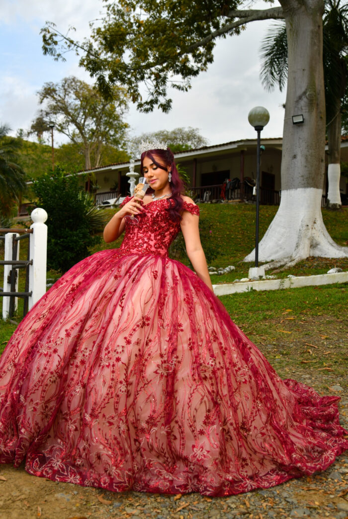 Vestido de Quinceañera Ref: 2050