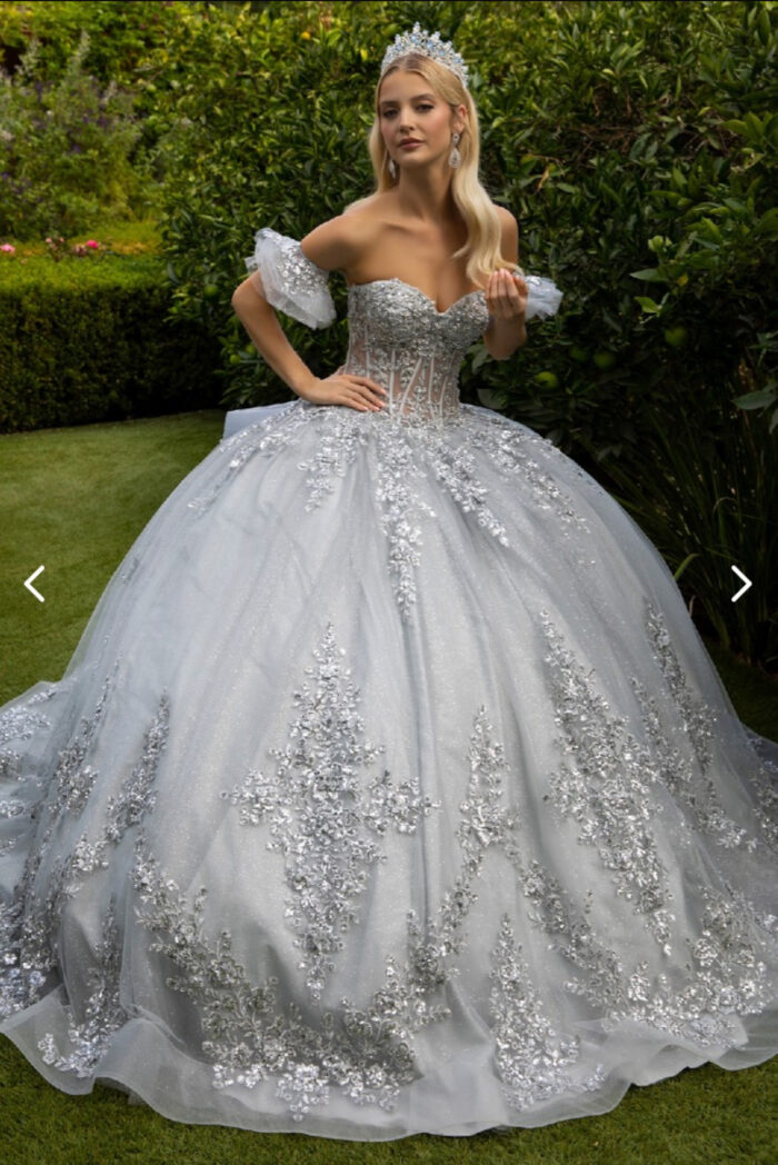 Vestido de Quinceañera Plateado
